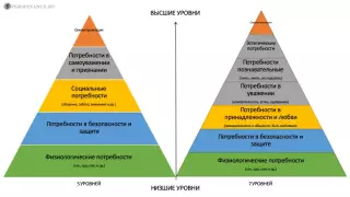 Виды пирамиды потребностей Маслоу (5 и 7 уровней)